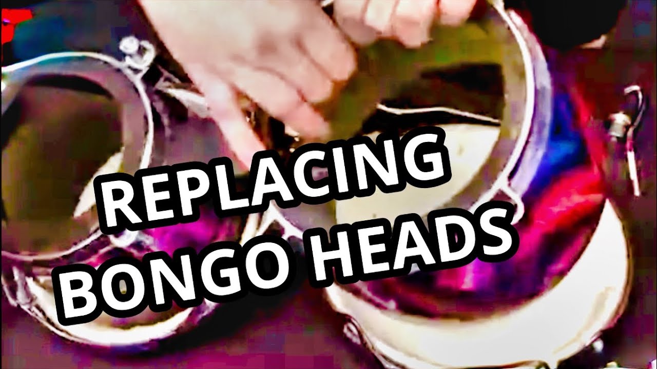 REPLACING BONGO HEADS