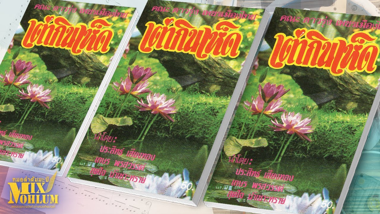 ดาวรุ่งเพชรเมืองไทย - เต่ากินเห็ด [พาสเดียวจบ]