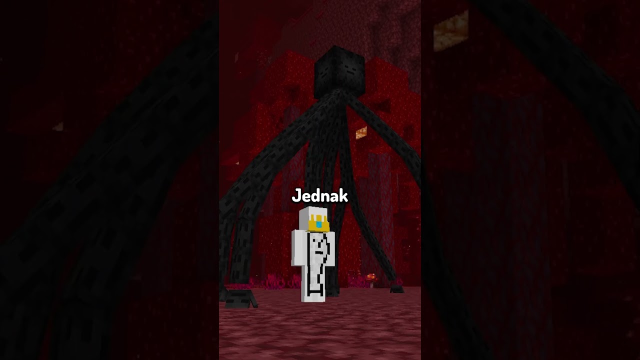 NOWY PRZYJACIEL W MINECRAFT
