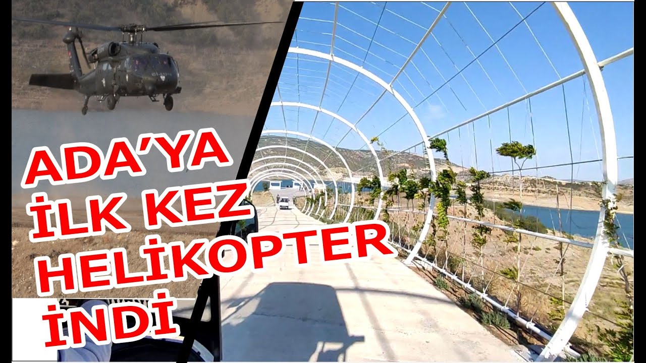 ÇEKEREK LAVANTA ADASI - YOZGAT