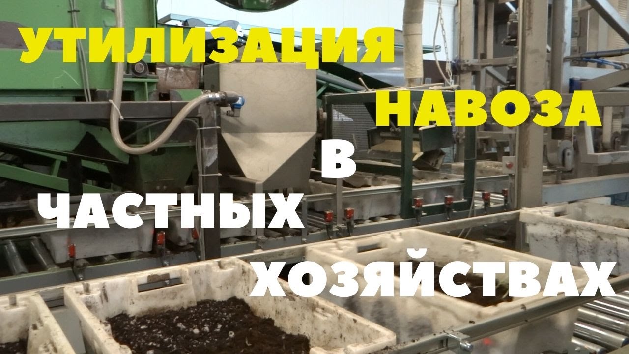 Как заработать на навозе/Бизнес на червях и биогумусе/Дендробена/Переработка навоза