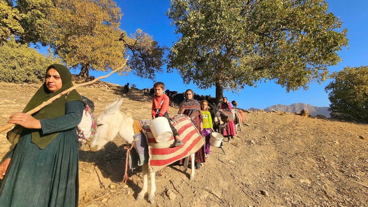 🟤⛰️✨ A Nomadic Family&rsquo;s Acorn Harvest in the Heart of the Zagros Mountains