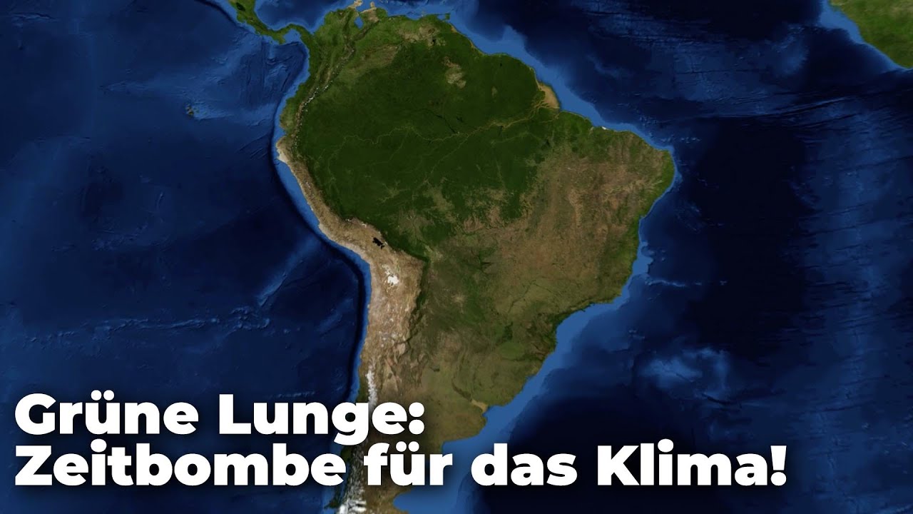 Amazonas-Regenwald – eine tickende Zeitbombe für das Klima!