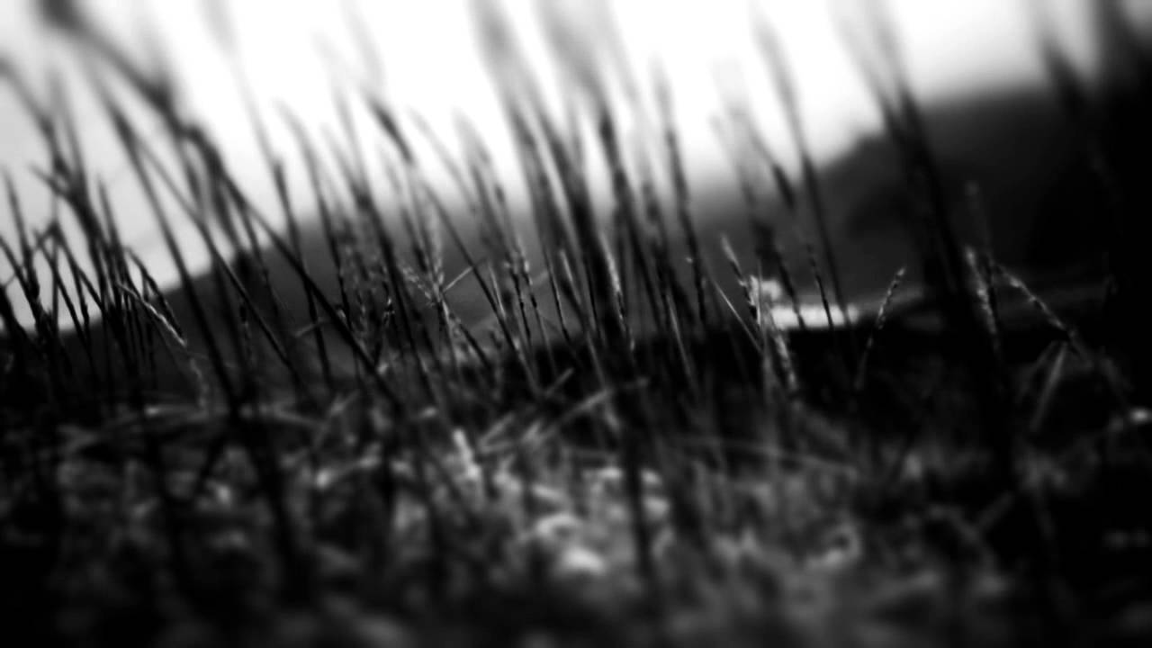 The Sight Below - Already There