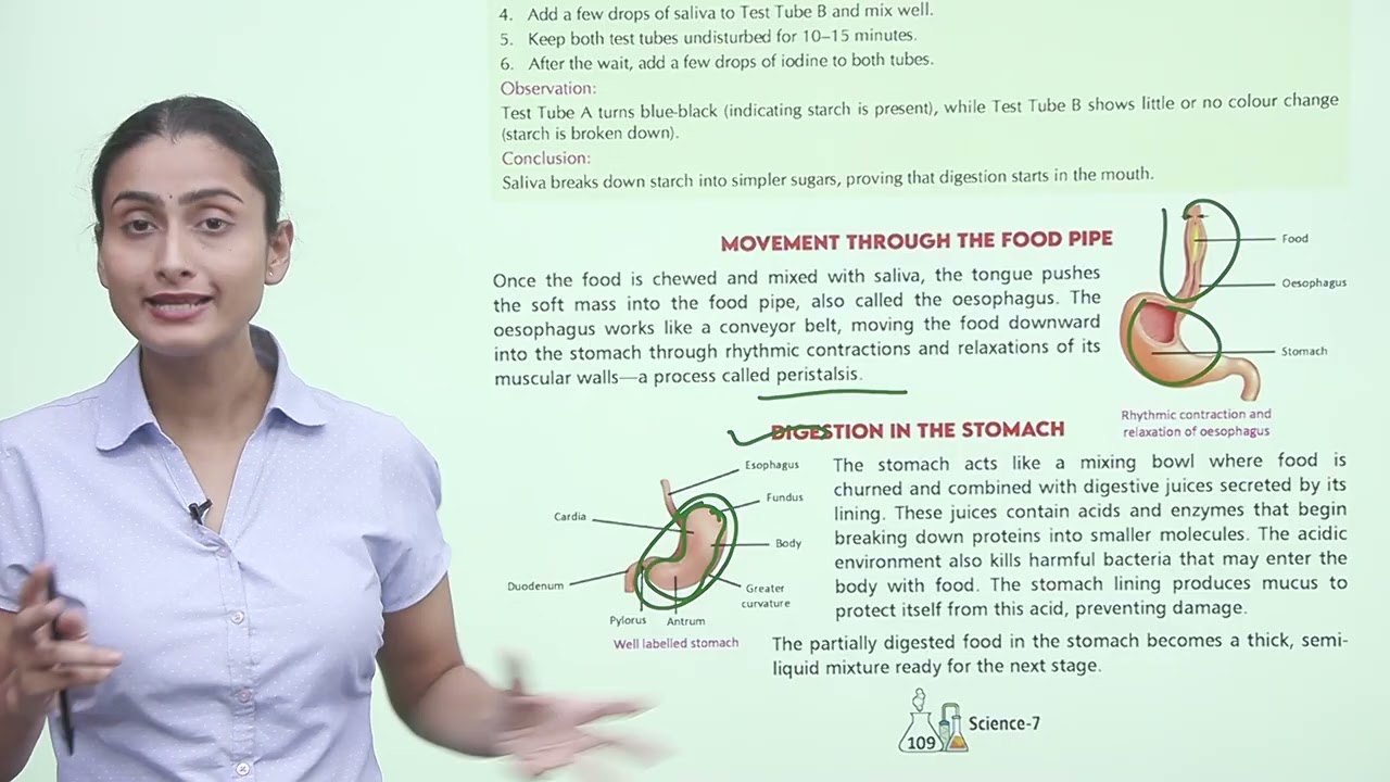 Ch 9 | Jophiel Books | Science | Class 7 | Life Processes in Animals  | For children