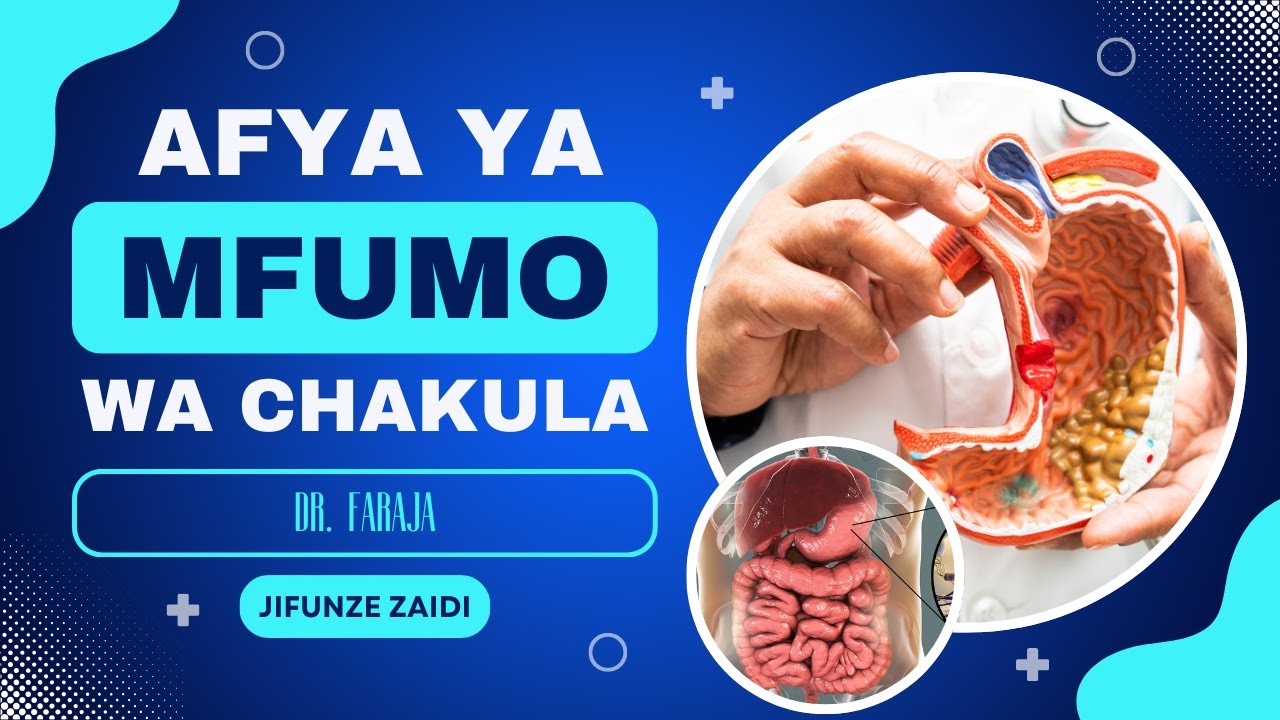 Chakula, Tumbo na Afya | Gut Health Explained