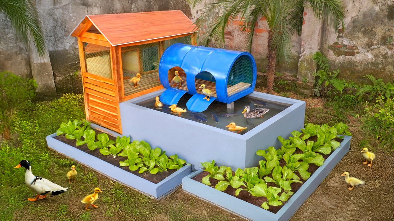 Eco-friendly duck house and fish pond from recycled materials