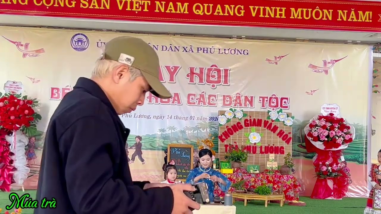 Hoàng Hải Đăng Cây chè Phú Lương Team MG 5 6 tuổi A2