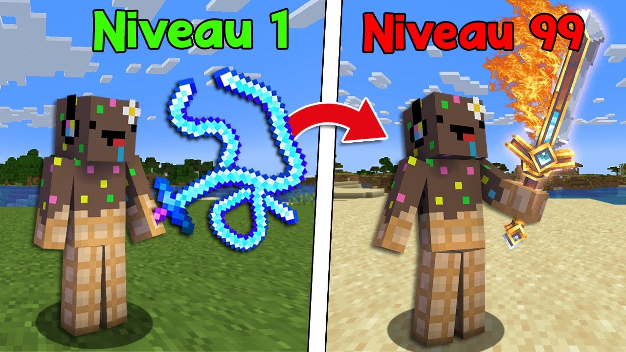 J'ai ajouté 543 Épées différentes sur Minecraft..