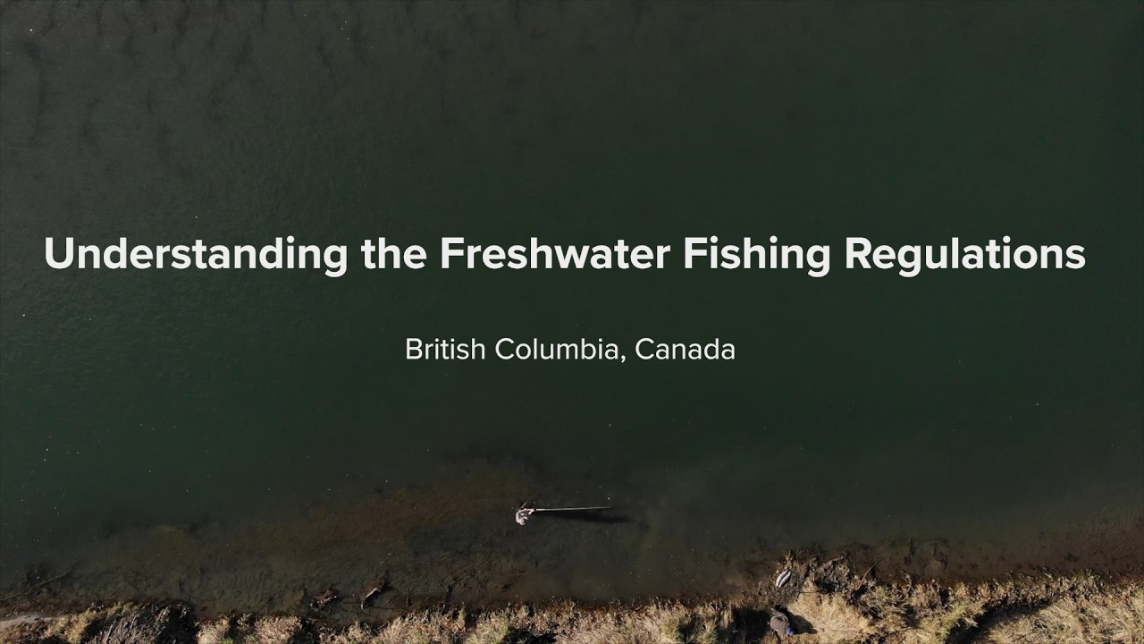 Понимание правил пресноводной рыбалки в Британской Колумбии.