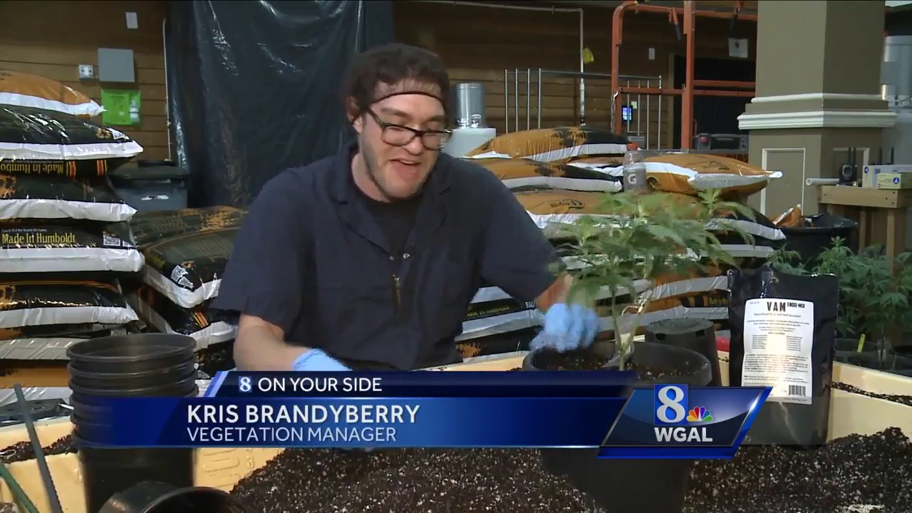 Step Inside: NJ medical marijuana growing facility