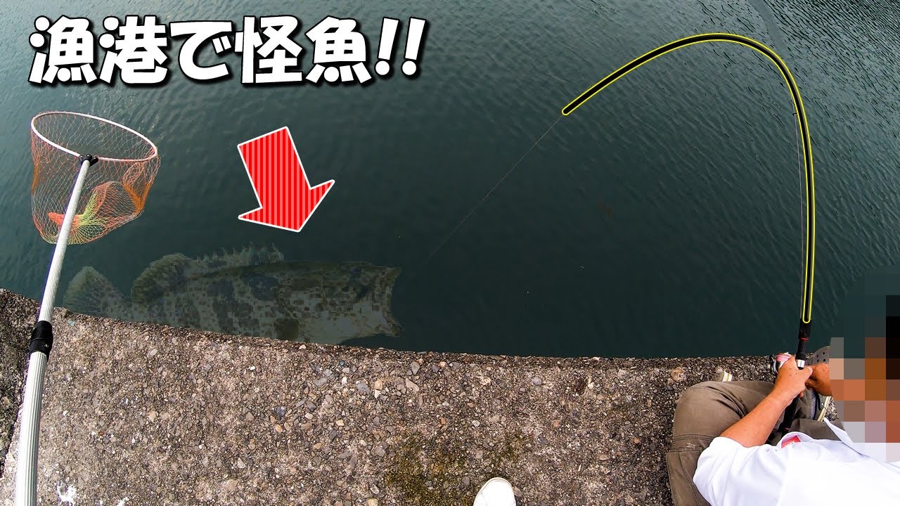 堤防でアオリイカを狙ってたら予想外の高級怪魚（バケモノ）が釣れた【三重県尾鷲漁港】