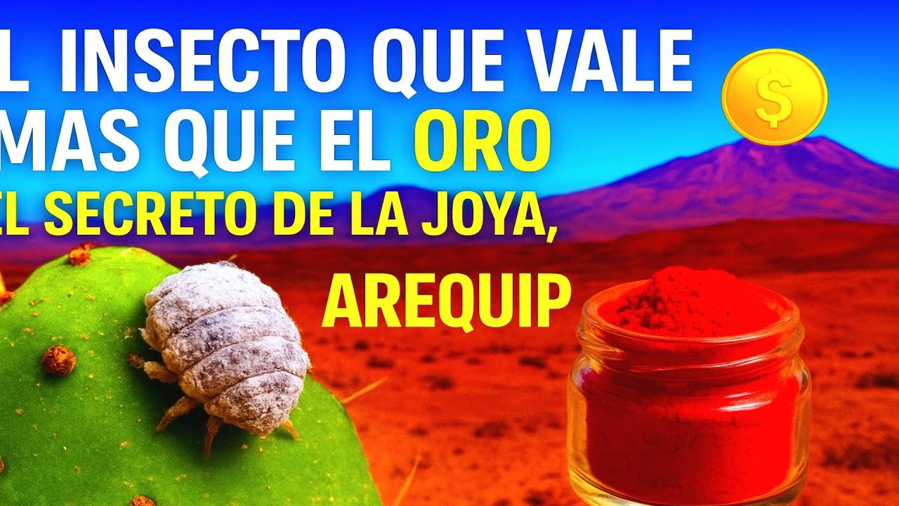 La cochinilla: el secreto rojo del Per&uacute; que el mundo necesita conocer