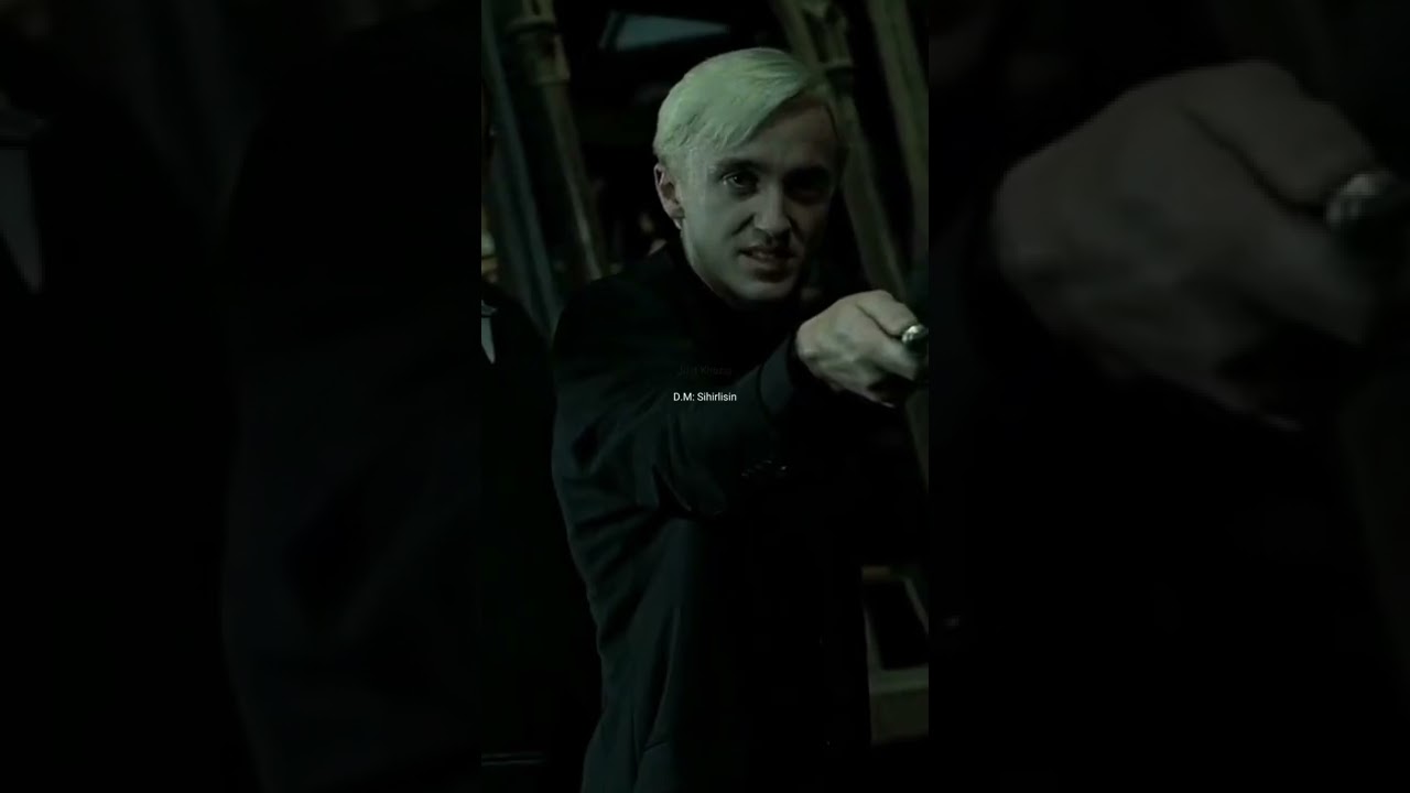 Pov: Riddle ve Malfoy YN'yi tanımlar #bacıguards #shorts #keşfet #dracomalfoy #tomriddle #lovesong