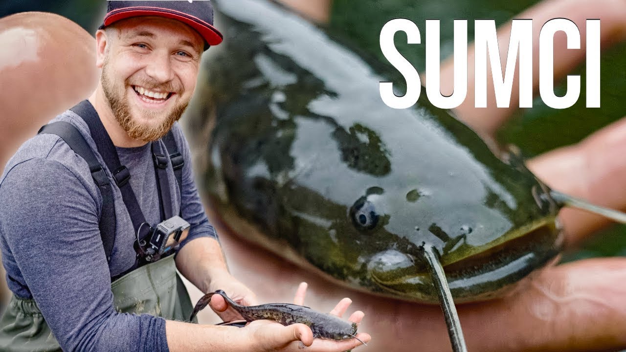 SUMCI Z POTOKA na přívlač
