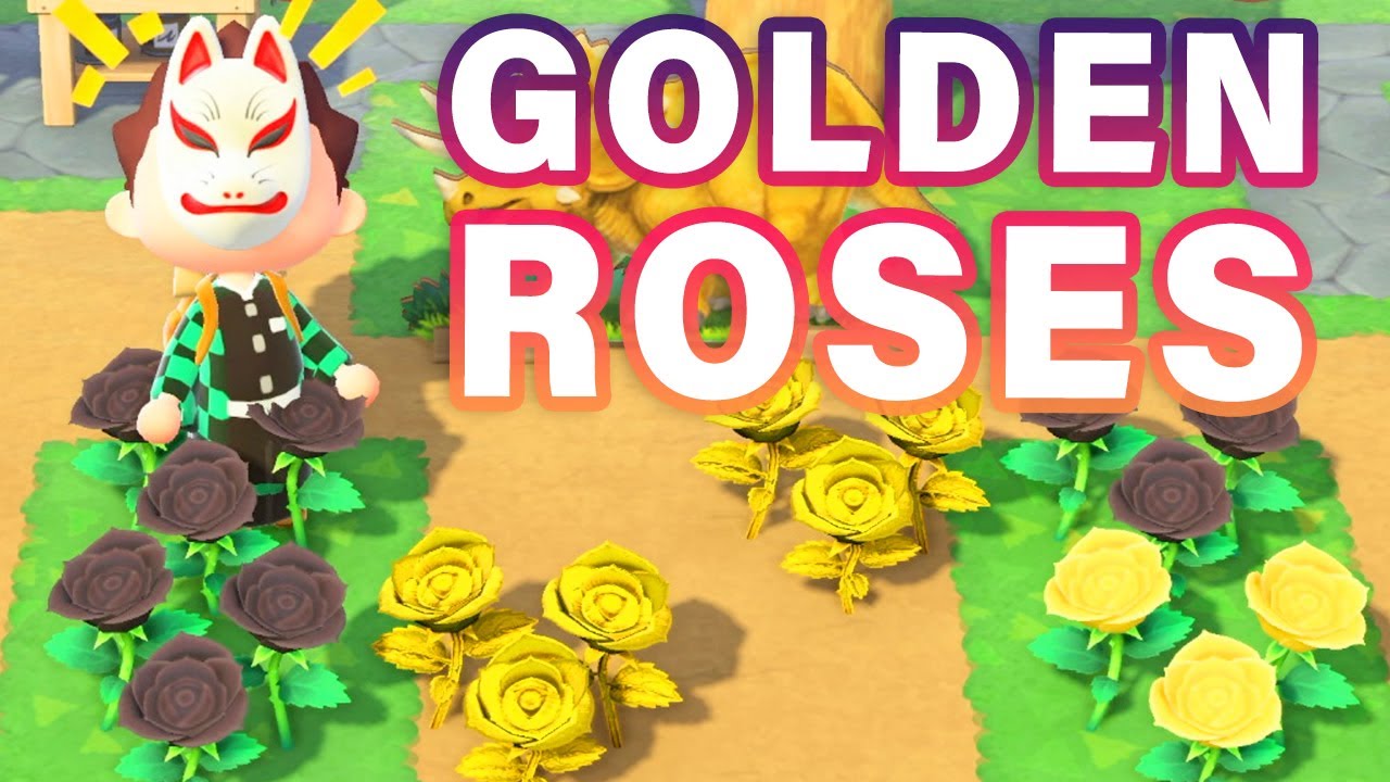 How to BREED Gold Roses | Guide ► Animal Crossing: New Horizons
