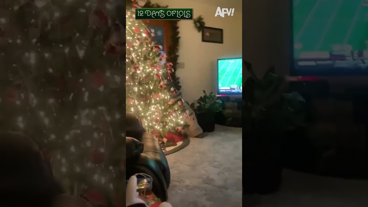 Virtual reality meets Christmas tree 🎄 #shorts #12DaysofLols #afv #funny #Christmas #holiday #fail