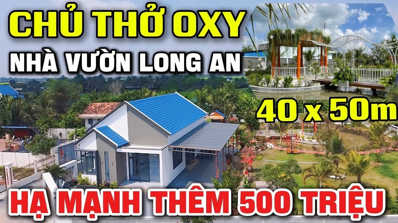 Tập 282 Hạ Mạnh 500 Triệu | Bán Nhà Vườn 2.100m2 Gần QL50 | Có hồ cá bự chà bá , khu vườn cây trái ✅