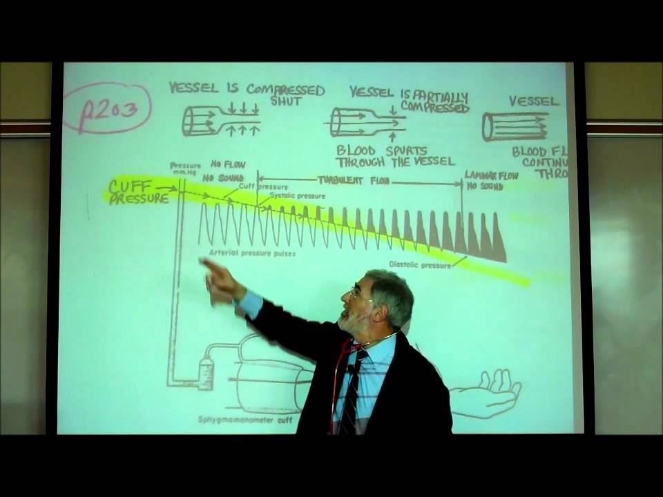 CARDIAC PHYSIOLOGY; PART 4 by Professor Fink.wmv