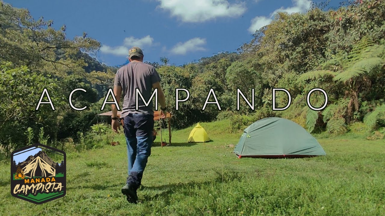 CAMPAMENTO en el bosque