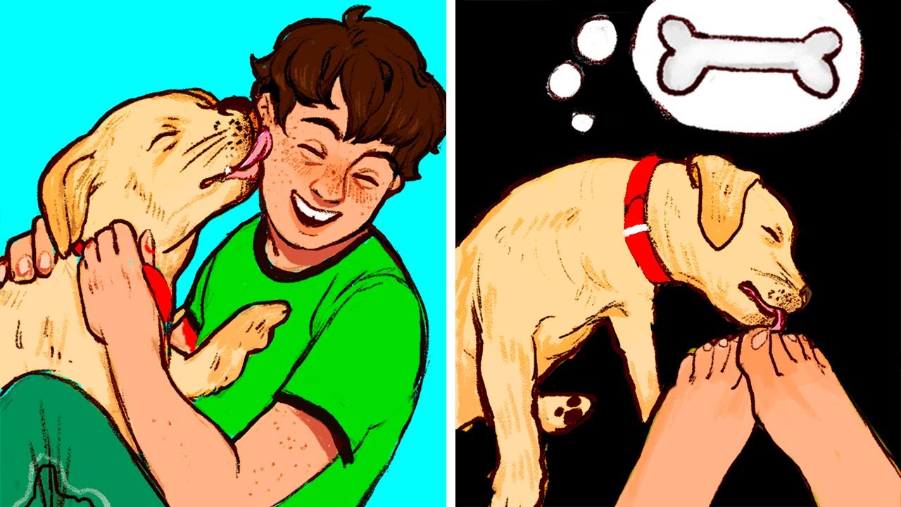 Why Dogs Lick Paws and Other 29 Questions About Dogs