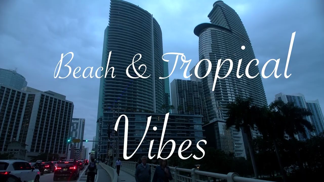 Chilly Willy Dream nights