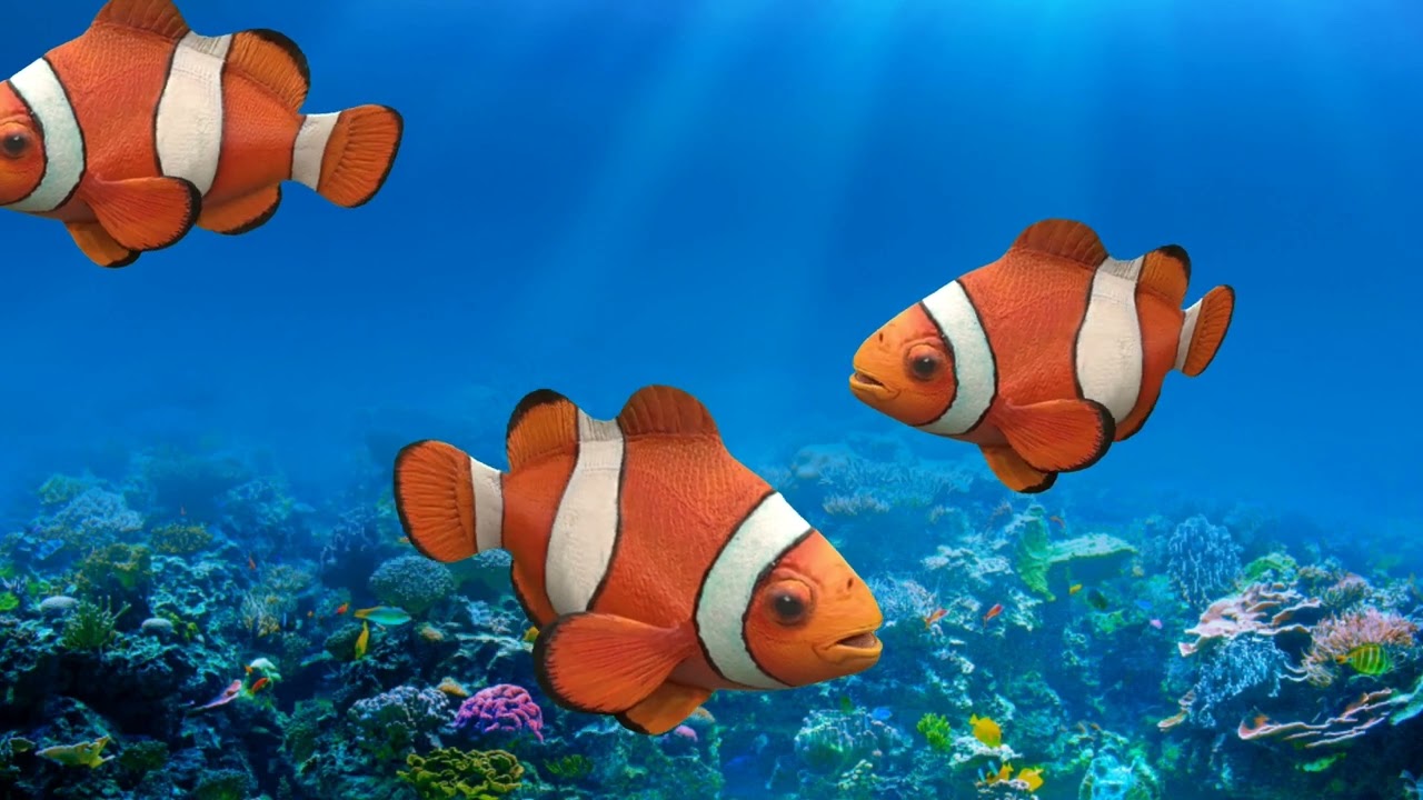 Animasi Ikan Badut Lur