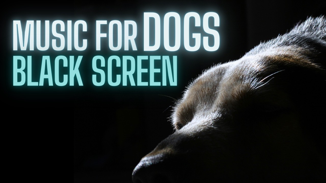 BLACKSCREEN DOG MUSIC Relaxing & Soothing with Calming and Healing 432 Hz Frequency