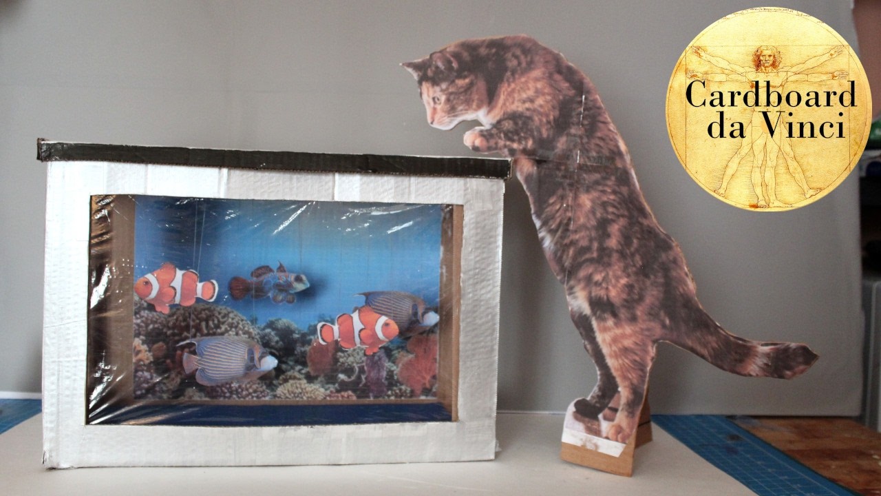 When you have a cardboard box shaped like an aquarium...
