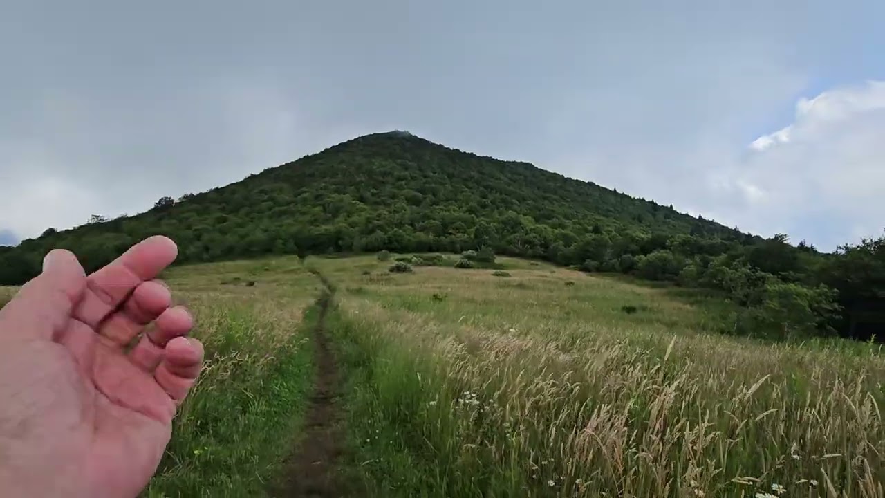Meadow at Sam's Knob, North Carolina