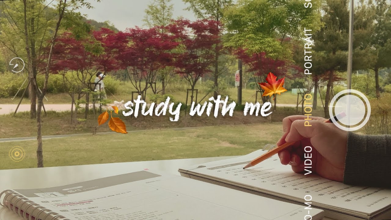 떨어지는 단풍잎을 잡으면 합격을 한다 study with me 스터디윗미 | 🔥 fireplace | no music 같이 공부해요