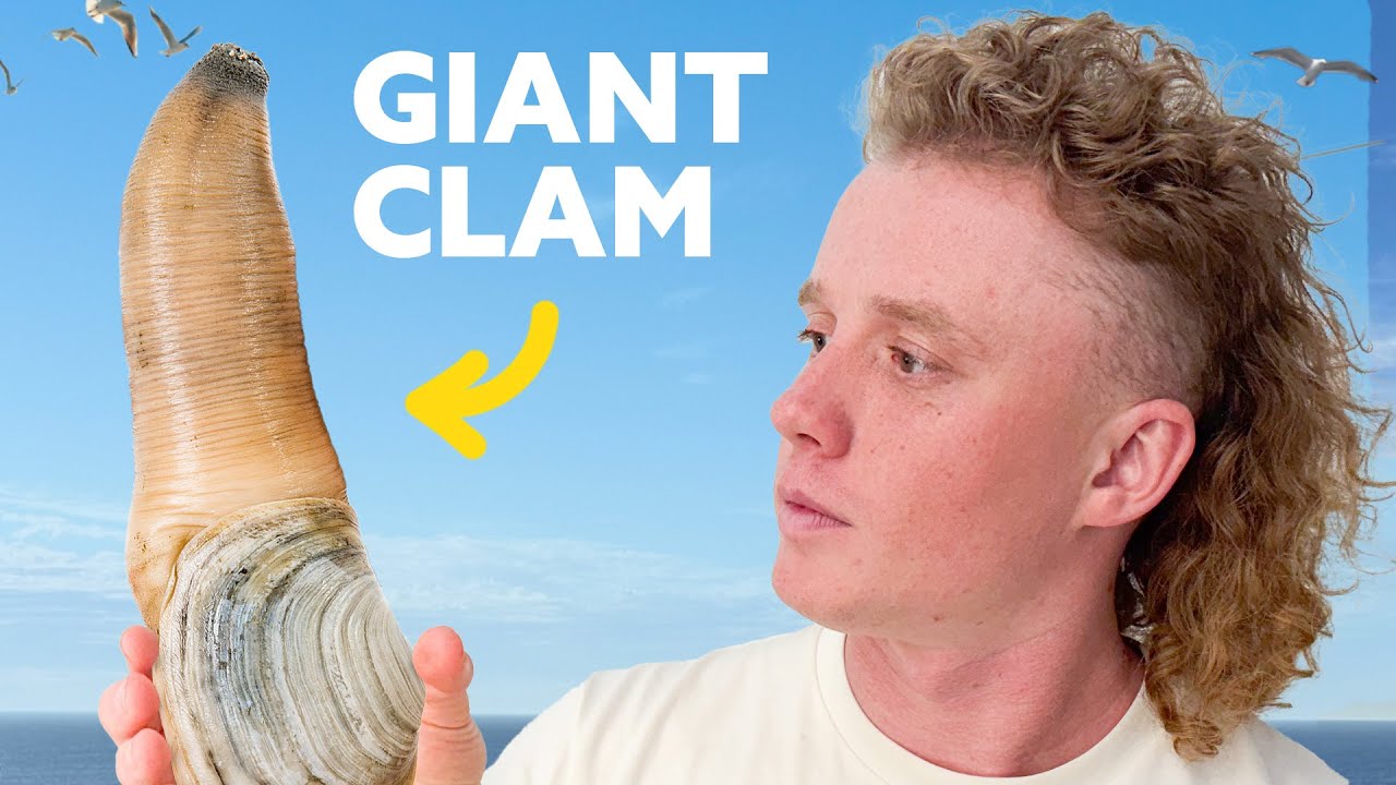 Harvesting Washington's Most Exotic Shellfish