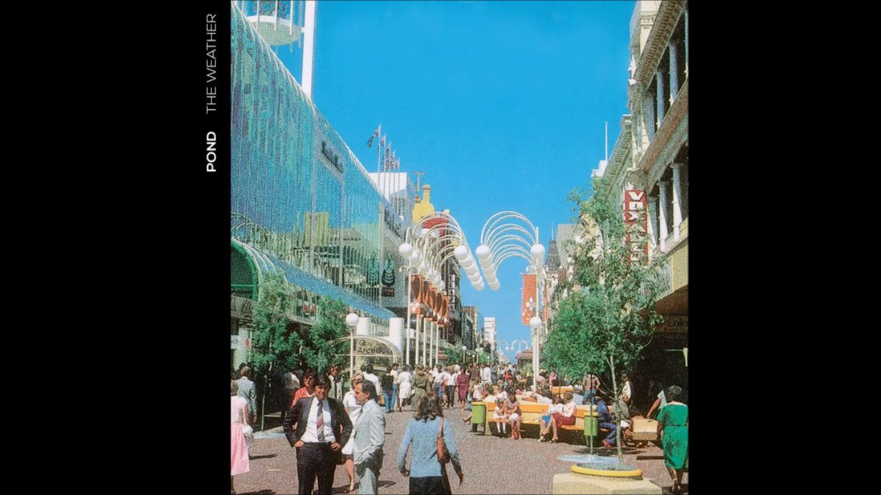 Pond - Paint Me Silver