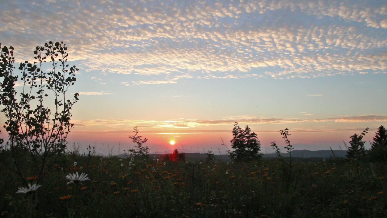 Summer Sunset With Crickets and Birds Singing / 1 Hour