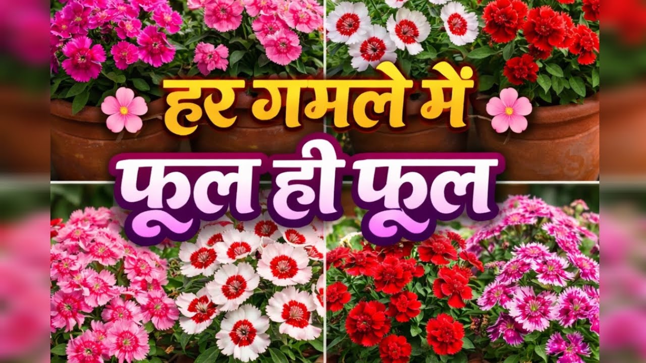 बगीचे की जान 