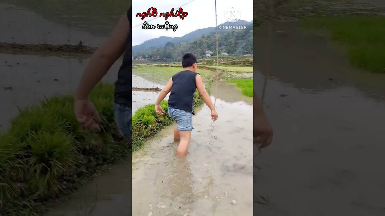 #shorts ẩm Thực t&acirc;y bắc @Longlanh