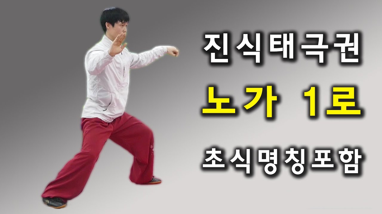 일산 늘화랑 / 진식태극권 노가 1로 / 陈氏太极 老架一路 74式 / chen taijiquan laojia yi lu