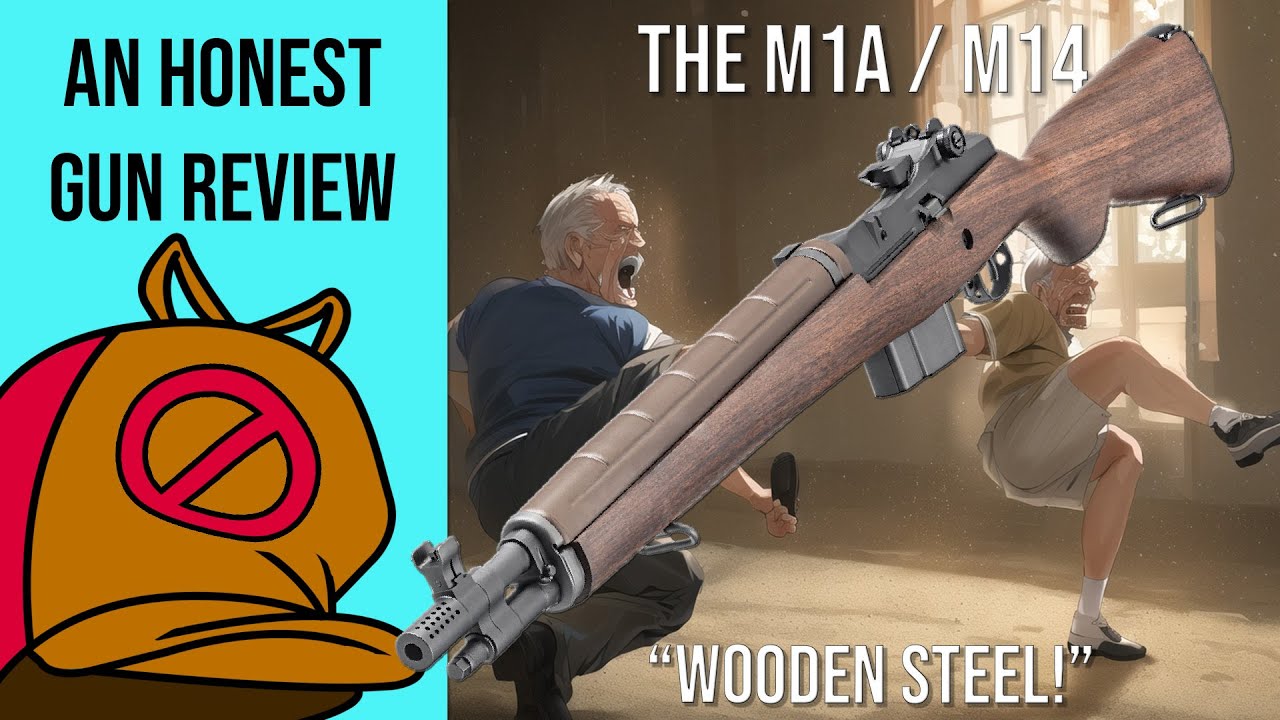 Честный обзор Springfield M1A и M14 &mdash; когда проигравшие выигрывают контракт