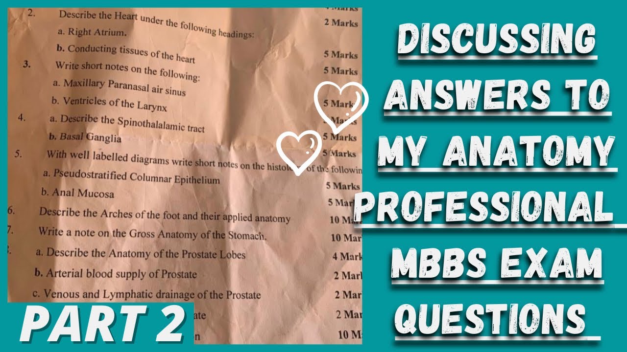 (PART 2) DISCUSSING ANSWERS TO MY ANATOMY PROFESSIONAL MBBS EXAM QUESTIONS