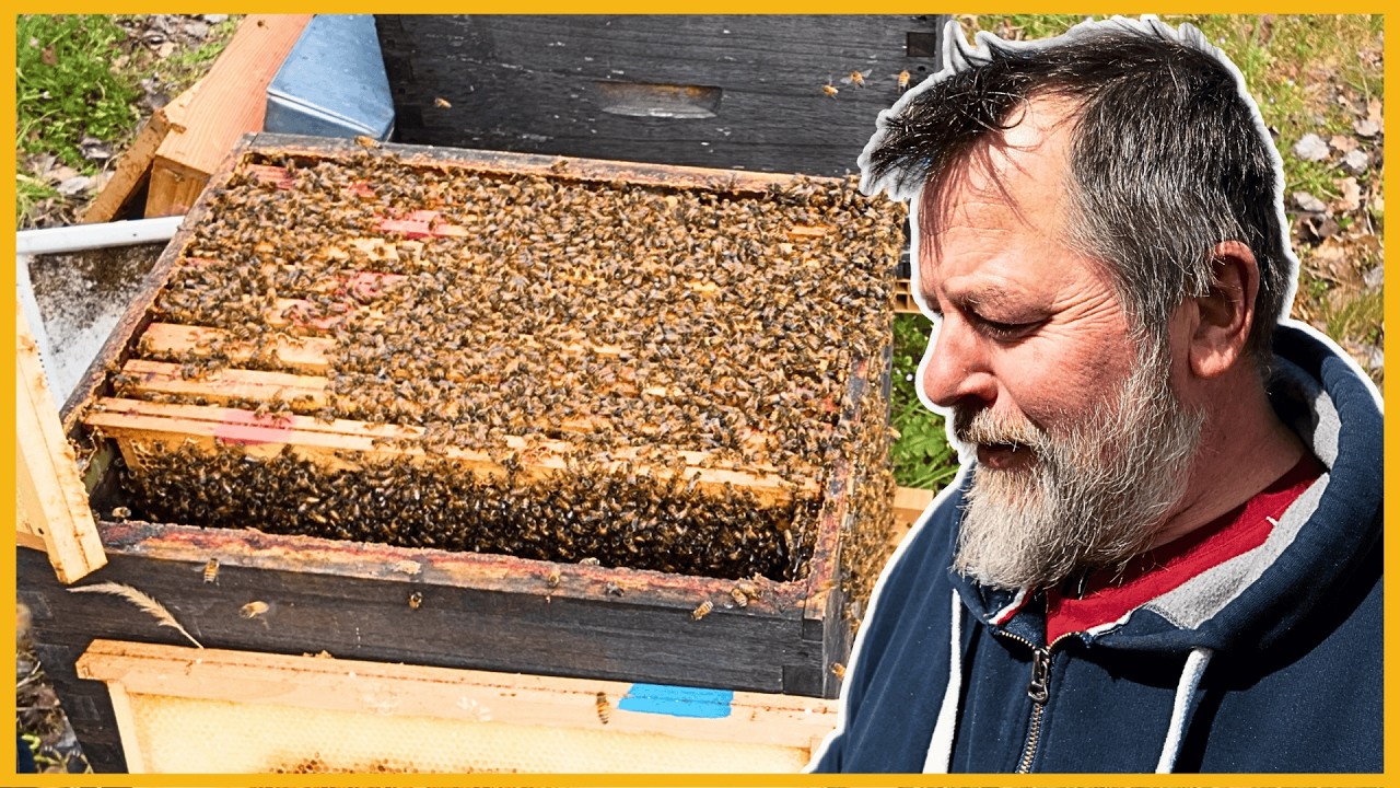 FAITES DES ABEILLES !   [S10E11]