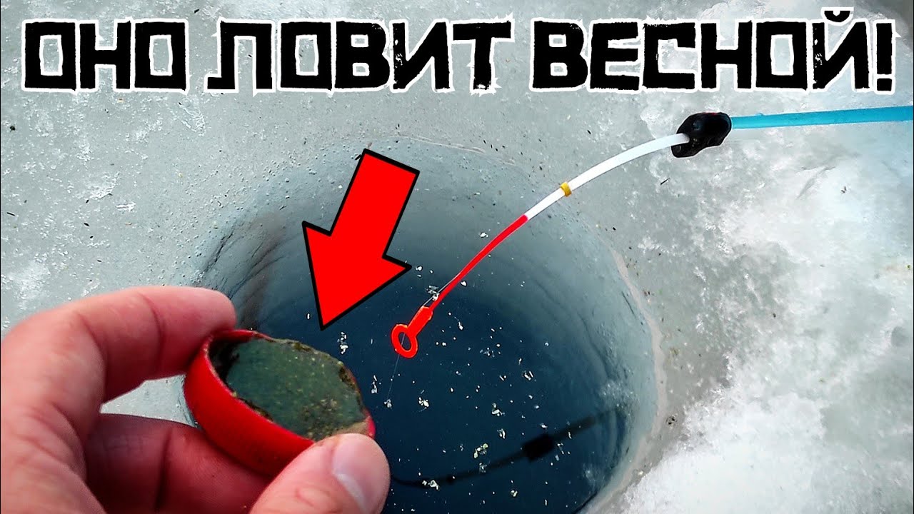 СЕКРЕТНАЯ ЖИЖА ЛОВИТ! Почему я не НАЛИЛ ЭТО РАНЬШЕ?! Рыбалка 2024