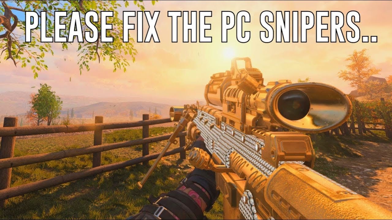Please Fix The Snipers on Black Ops 4 PC