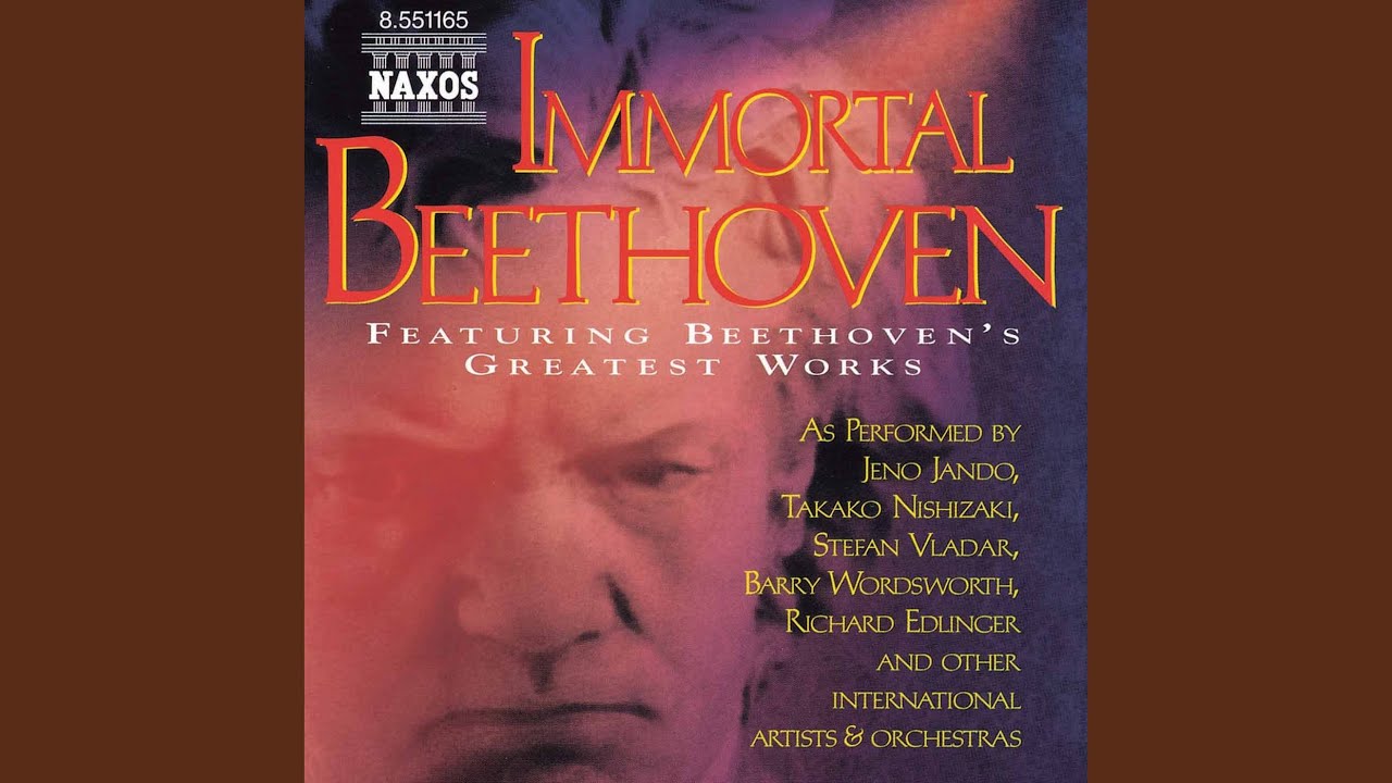Symphony No. 5 in C Minor, Op. 67: I. Allegro con brio