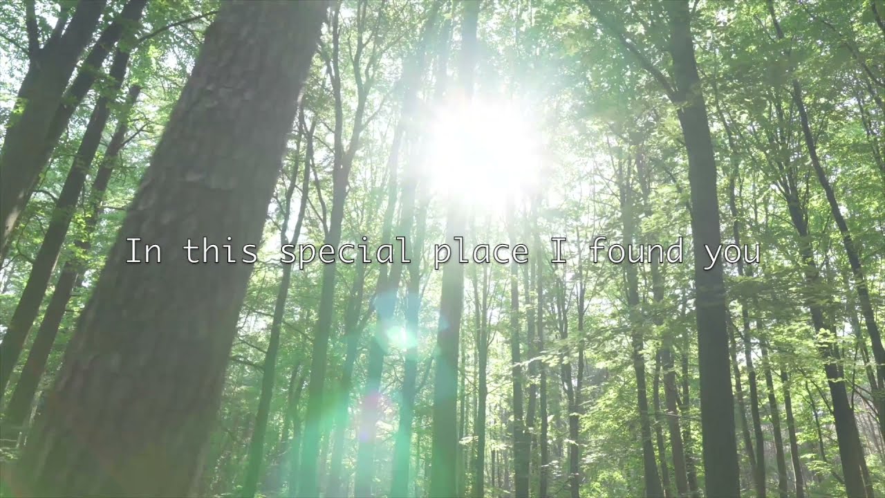 Jan-Tore Saltnes - In This Special Place (w/lyrics)