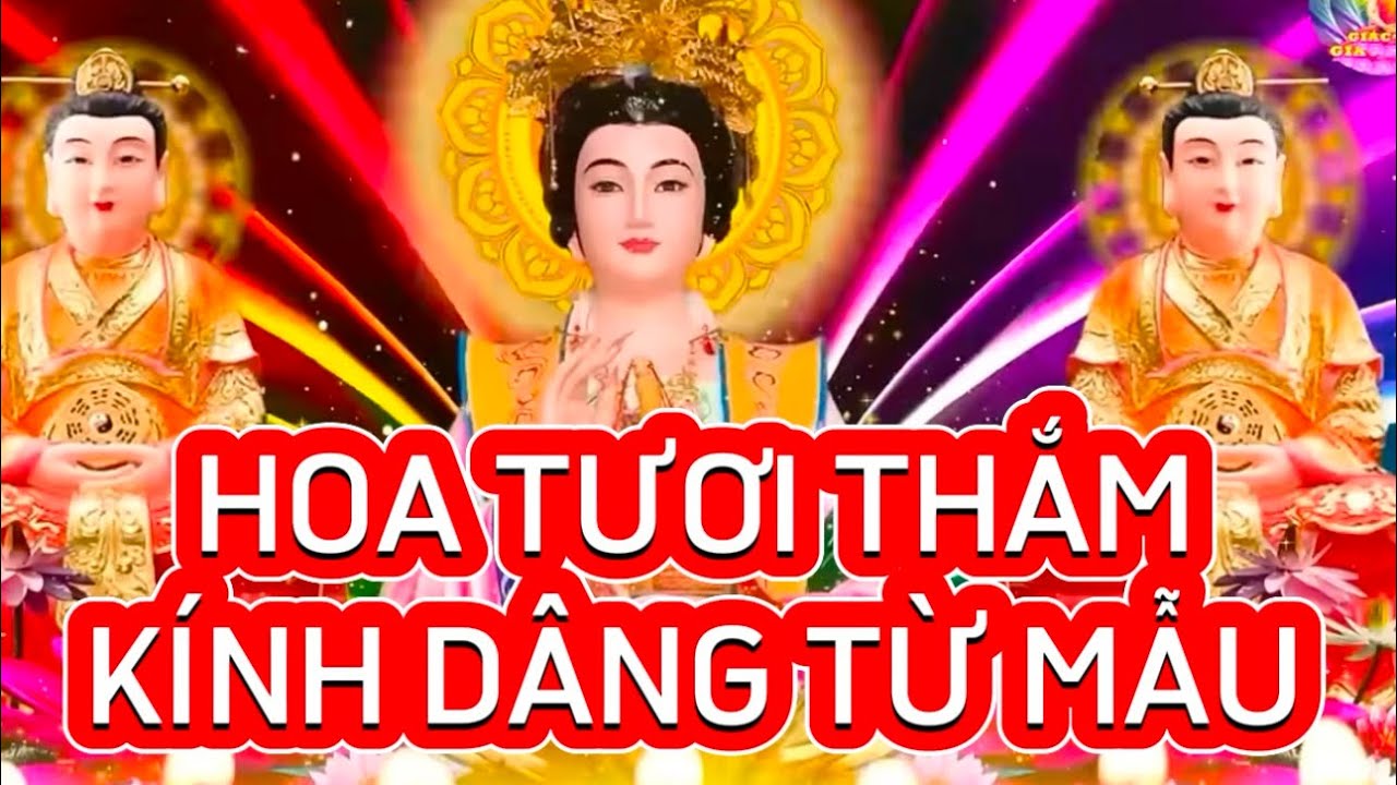 MẸ PHẬT MẪU CHE TRỞ CHO CÁC CON - TẠO PHƯỚC LÀNH BÌNH AN CHO CHÚNG SINH 🙏🙏🙏
