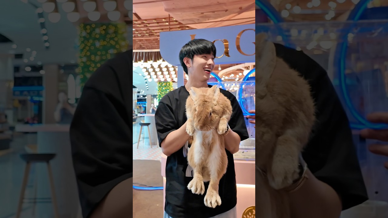 กระต่ายที่ใหญ่ที่สุดในโลกอยู่ในมือเราแล้ว🐰 หึหึ พบกันเร็วๆนี้ครับ