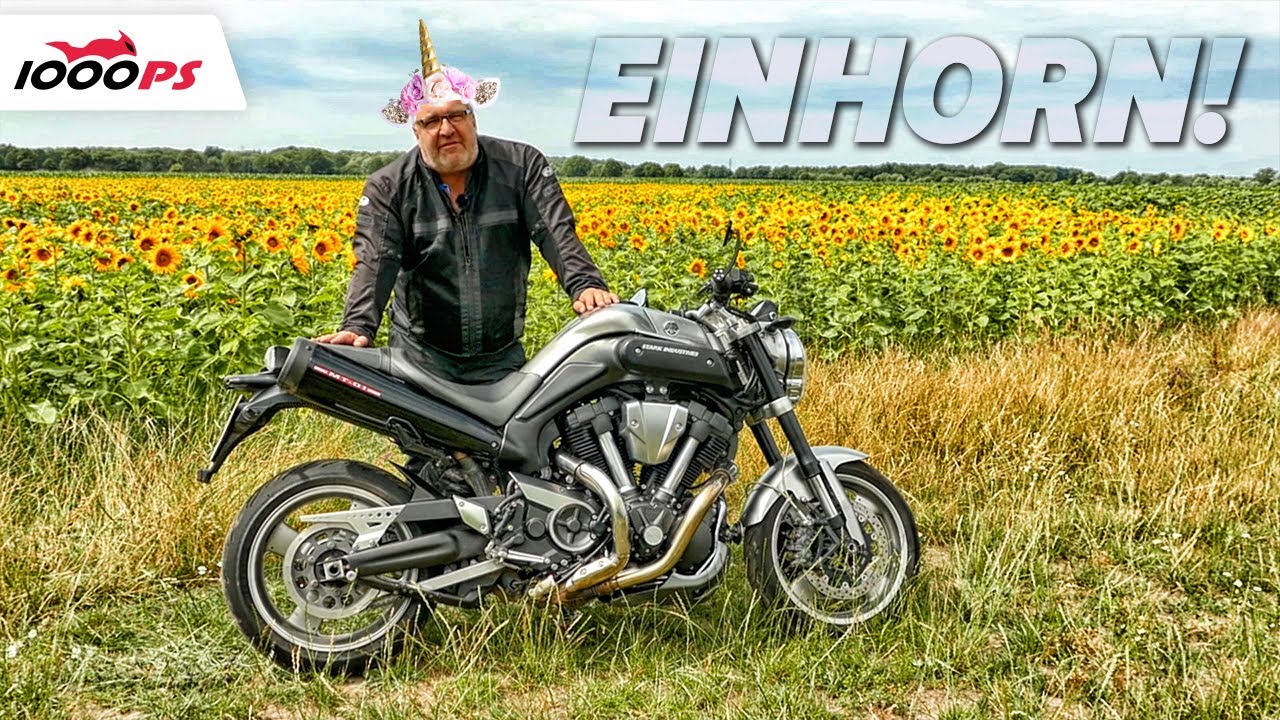 Seltene Perle! Yamaha MT-01 mit Riemenantrieb - Test Gebrauchtberatung, Stärken, Schwächen