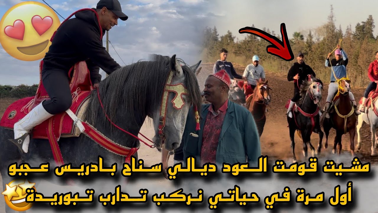 شريت أحسن سرج لفحل شفاء بادريس عطاني صربة وكنت مقدم لأول مرة