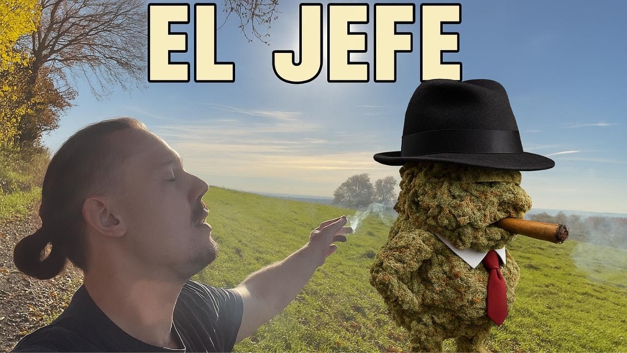 Cannamedical Indica forte El Jefe Strain Review