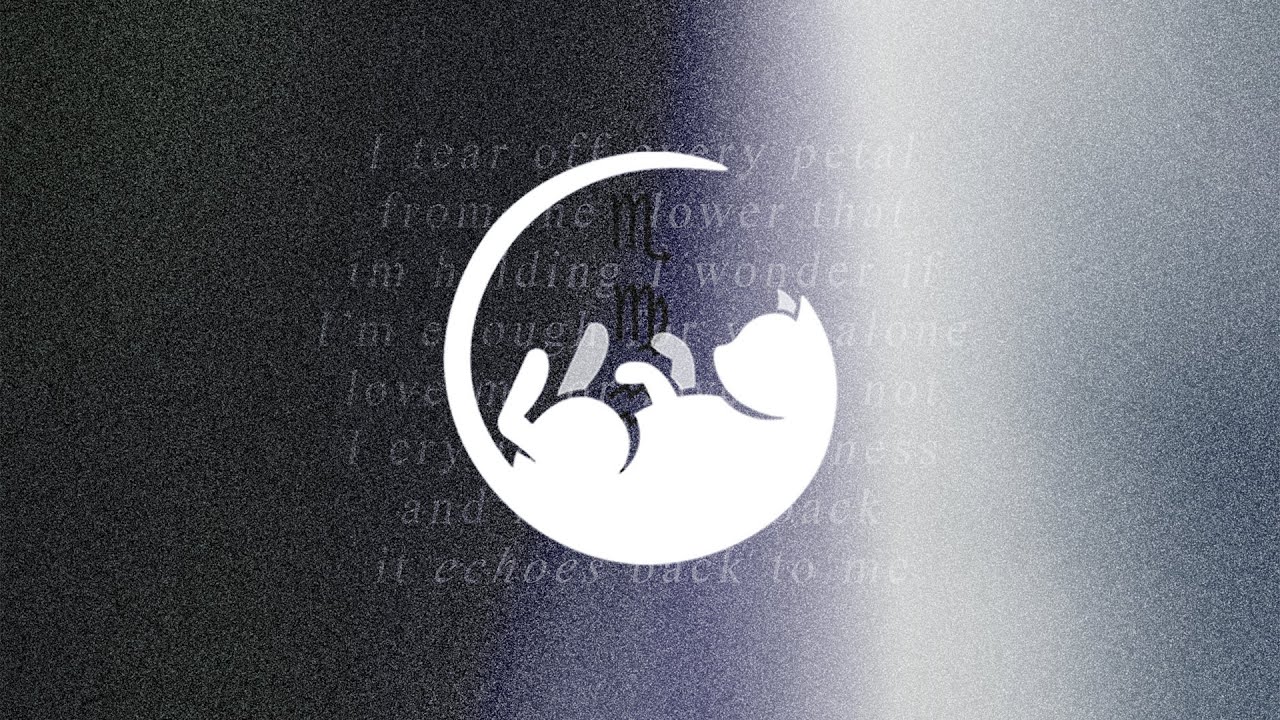 driftcat - echo ft. moon jelly
